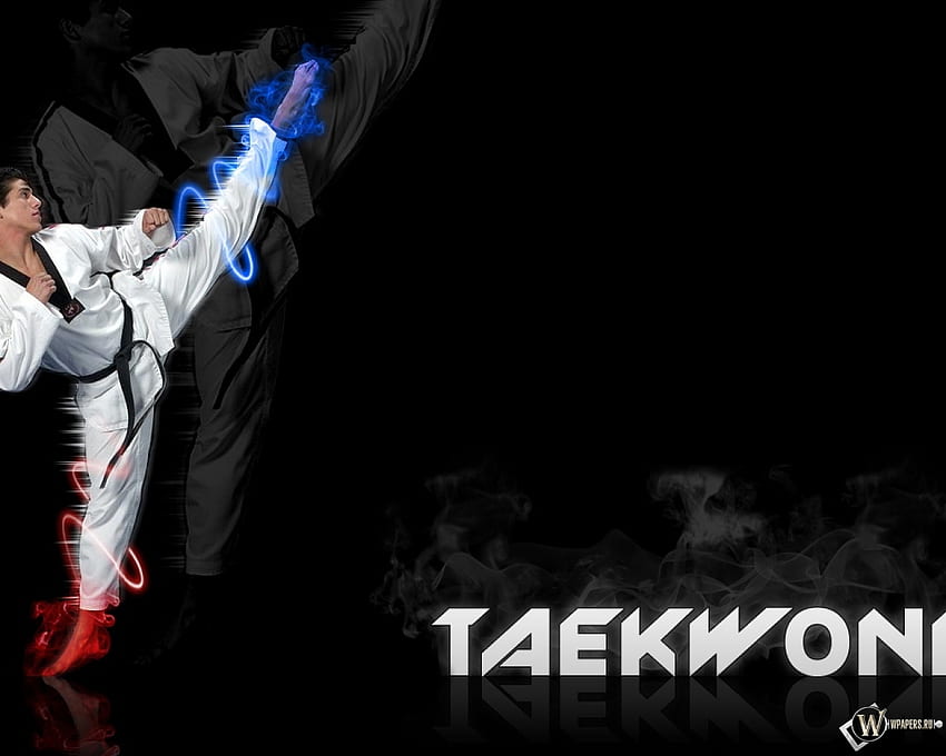 skin de minecraft taekwondo