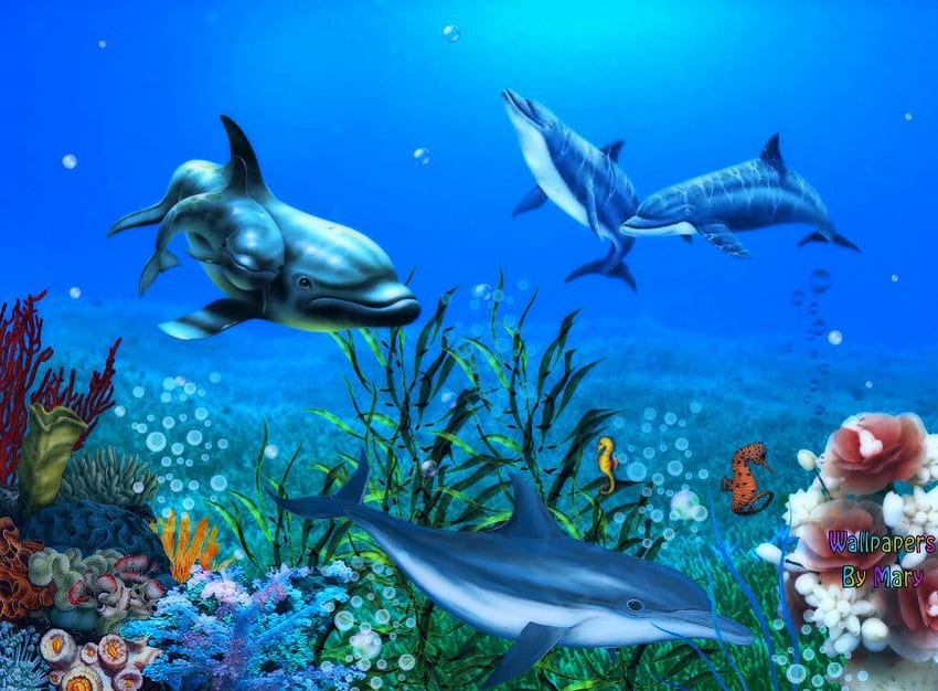 イルカの庭、海、海洋生物、イルカ、水中、魚 高画質の壁紙