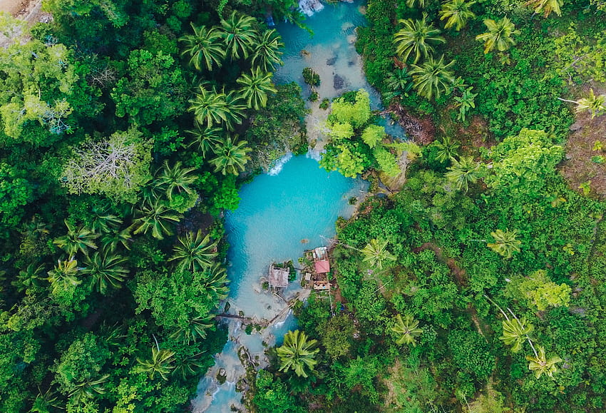 Natur, Palmen, Ansicht von oben, Tropen, Insel, Philippinen, Siquihor, Sikihor HD-Hintergrundbild
