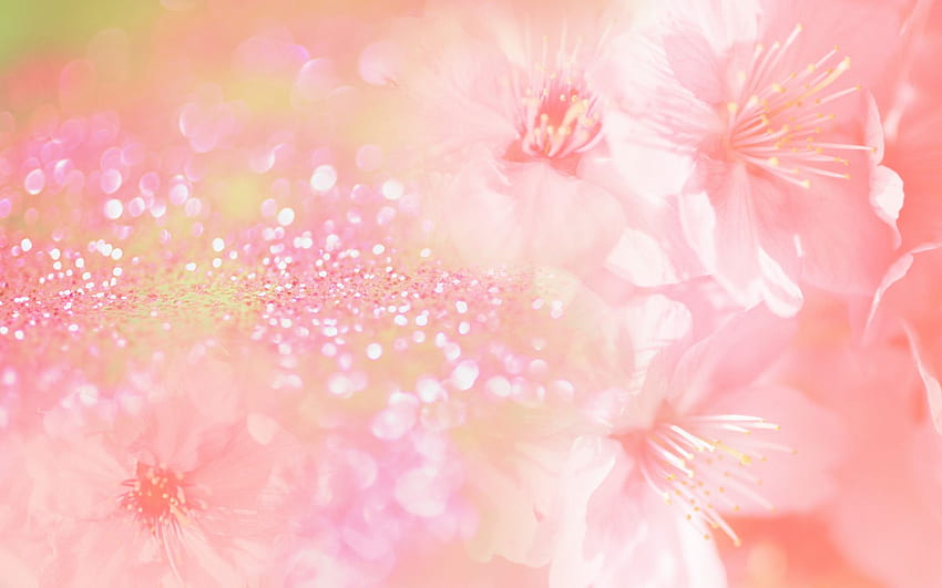 Light Pink Flower Background, Light Pink Floral HD wallpaper