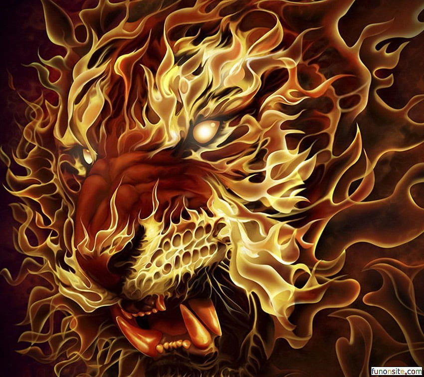 Fire Tiger HD wallpaper