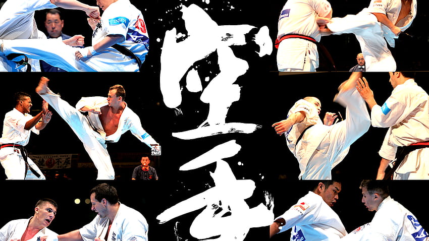 Kyokushin - Kyokushin Karate Techniques HD wallpaper