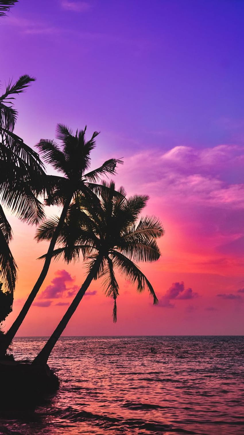 tropical island, beach, pink sky, 7 Beach HD phone wallpaper