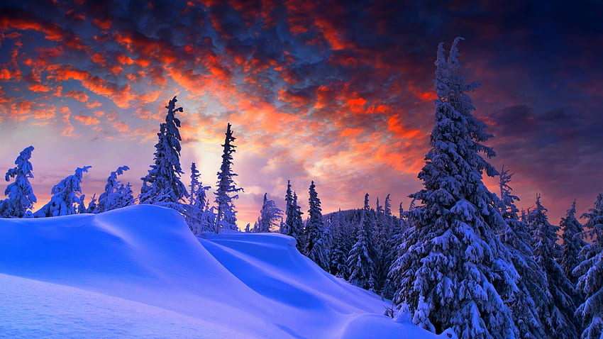 winter evening, beautiful sky, trees, clouds, dual wide, , , background, 1199, 2048X1152 Winter HD wallpaper