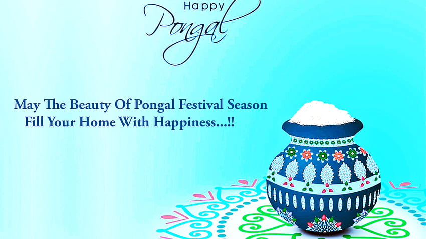 Niech sezon festiwalowy piękna Pongal wypełni Twój dom szczęściem Pongal Tapeta HD