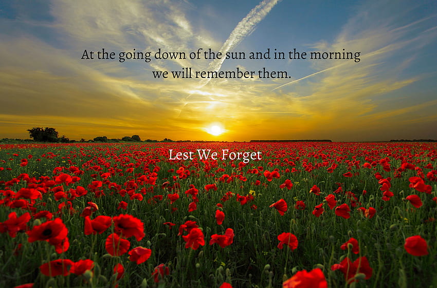 with holiday Anzac Day with tags: Flower, Windows, Anzac Day, Holiday, Poppy, Sunrise HD wallpaper