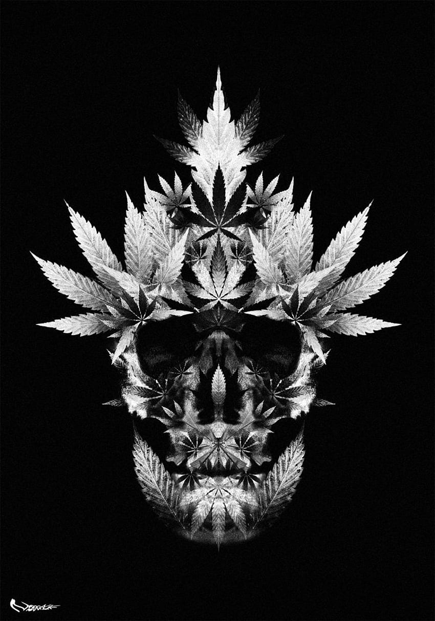 Weed skull. Stuff to Buy. Weed, Cannabis and Weed tattoo HD phone wallpaper