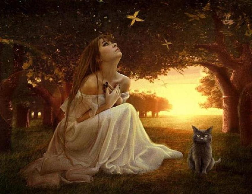 PRAYER, woods, light, cat, beautiful, girl, sunset HD wallpaper