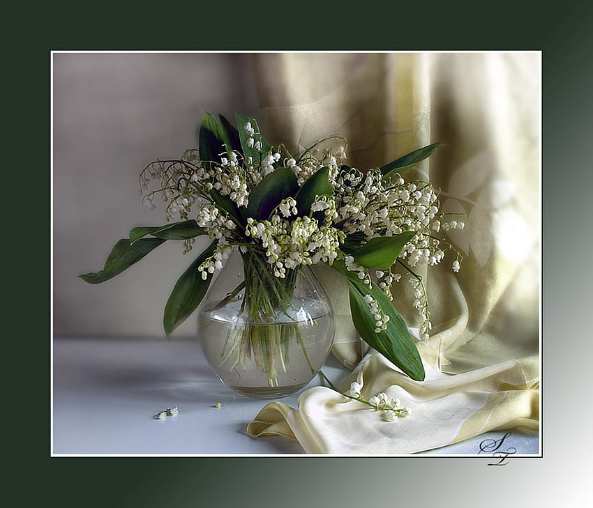 Class, satin, framed, petals, vase, flowers, curtain, water HD wallpaper