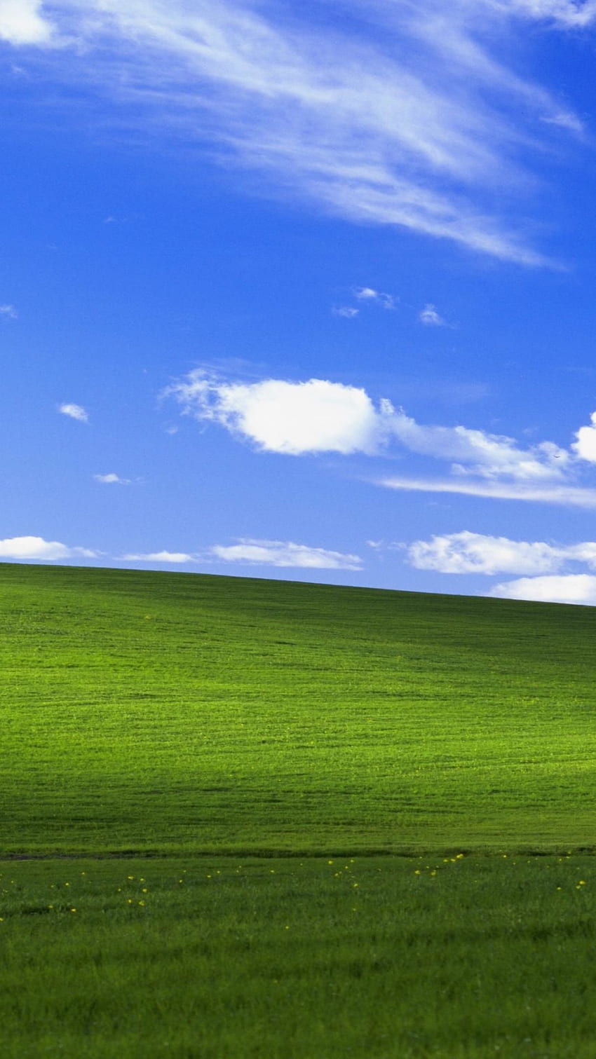 Dank Windows Xp Background in 2020. Microsoft , Background , Android, Windows 97 HD phone wallpaper