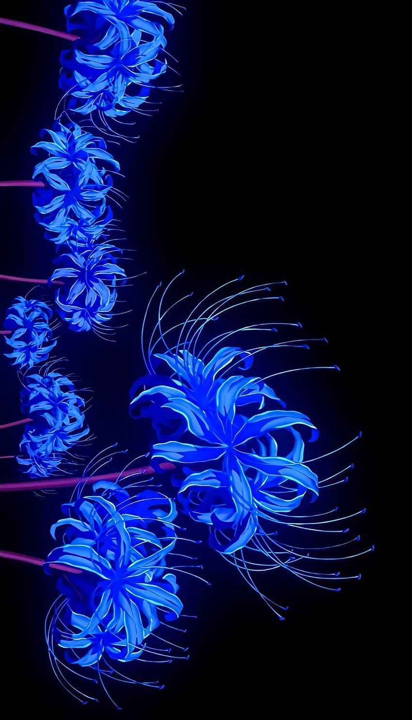 Blaue Spinnenlilie, nein, Jägerin, Yaiba, Dämon, Anime HD-Handy-Hintergrundbild