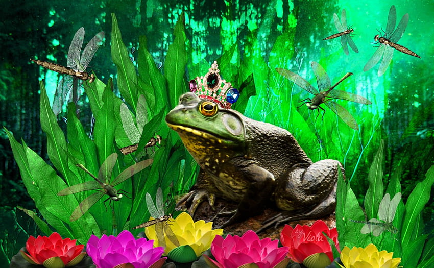 Frog King, design, art, frog, dragonflies, crown, wood, fantasy, king, green, water lilies, prince, Viola Tricolor, forest, pond HD wallpaper