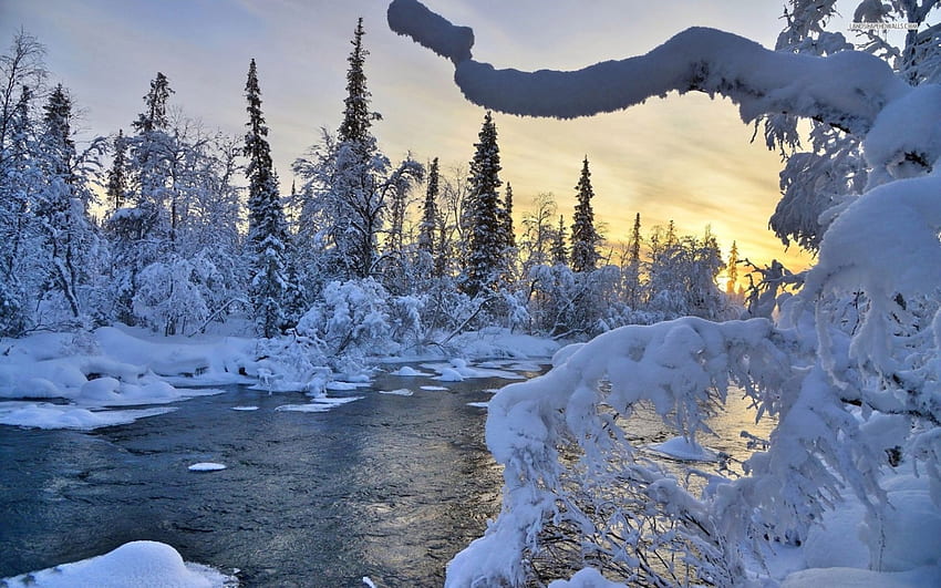 Riverside Winter, firs, snow, trees, sky, sunset, ice HD wallpaper