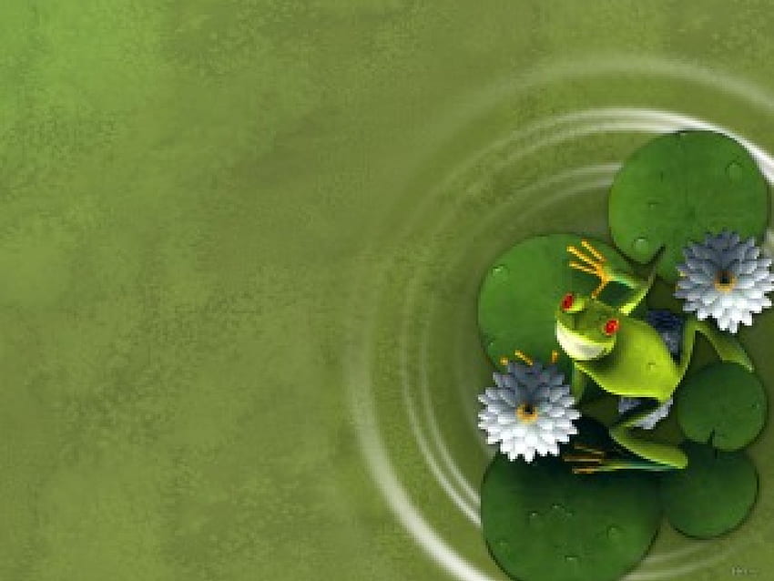 3d frog, frog on a lilly pad HD wallpaper