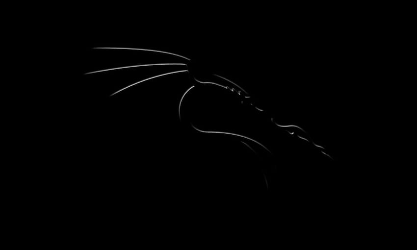 Black Dragon, Dark Dragon HD wallpaper