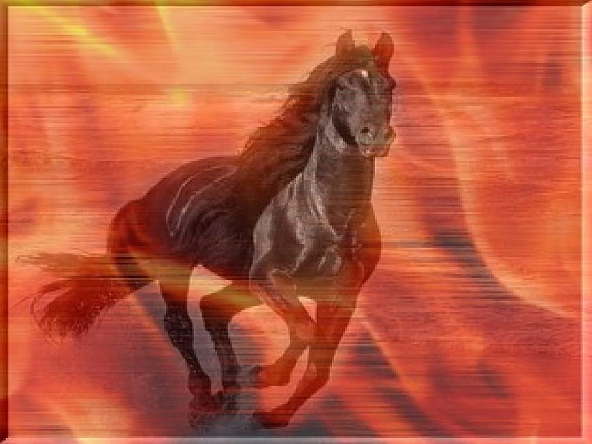Horse, animal, running, red, fire, beach HD wallpaper