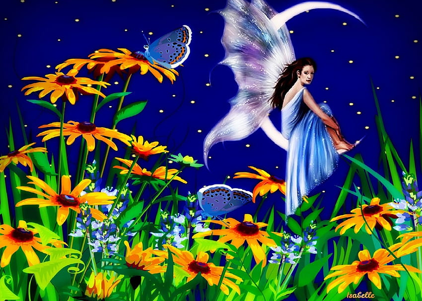 잘자요, 초원, 달, 나비, 판타지, 잘자요, 별, 요정, 꽃, 하늘 HD 월페이퍼