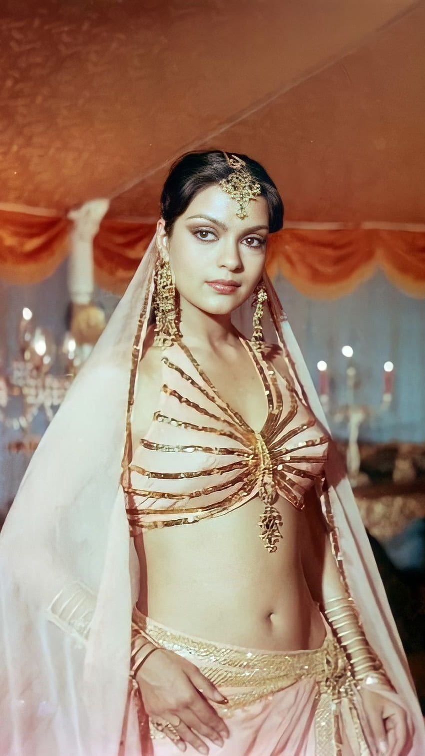 Zeenat Aman, bollywood actress, vintage HD phone wallpaper