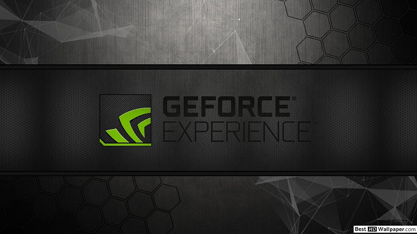 Premium Hottest Cosplayer: Nvidia, GeForce Now HD wallpaper