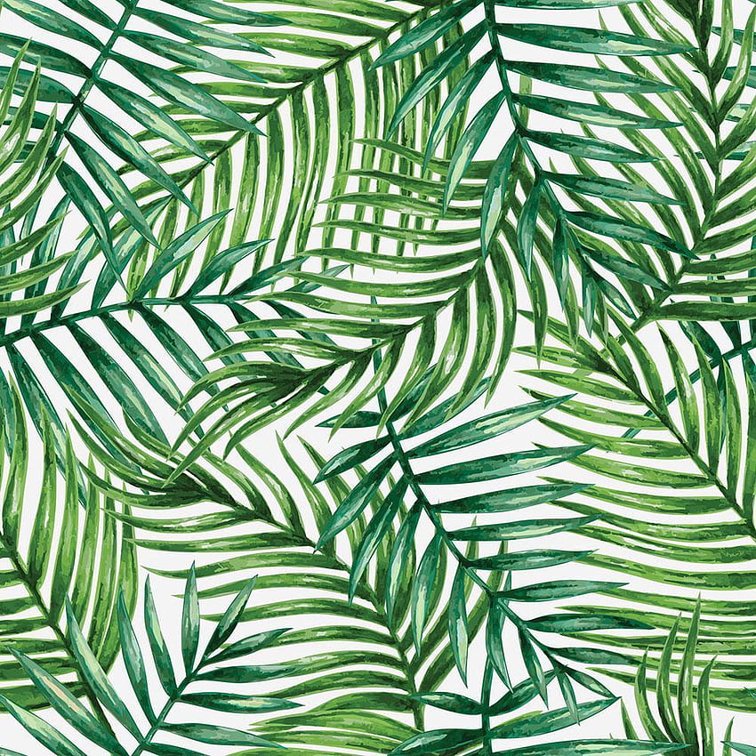 The Watercolor Tropical Palm Leaves Wall Mural - Palm Leaves Pattern Vector - & Background, Leaf Pattern HD phone wallpaper