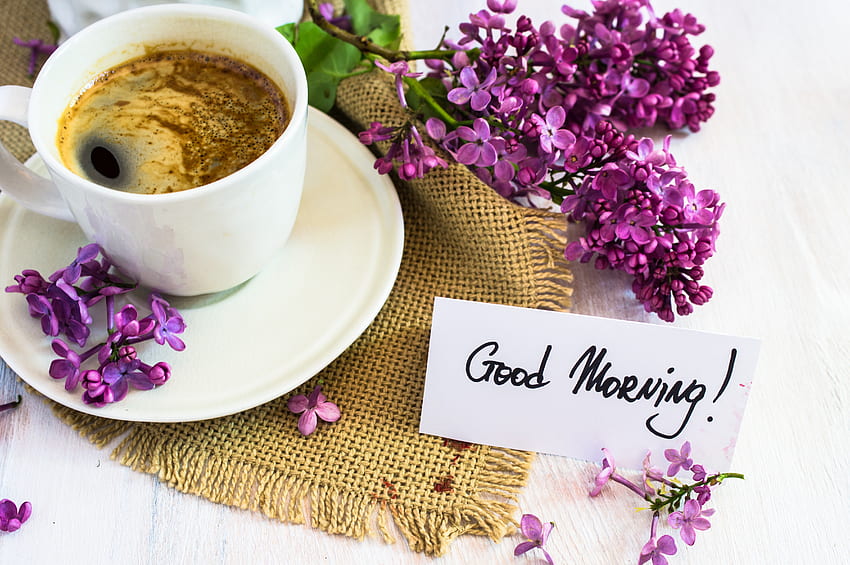Good Morning ! Ultra, Spring Coffee HD wallpaper | Pxfuel