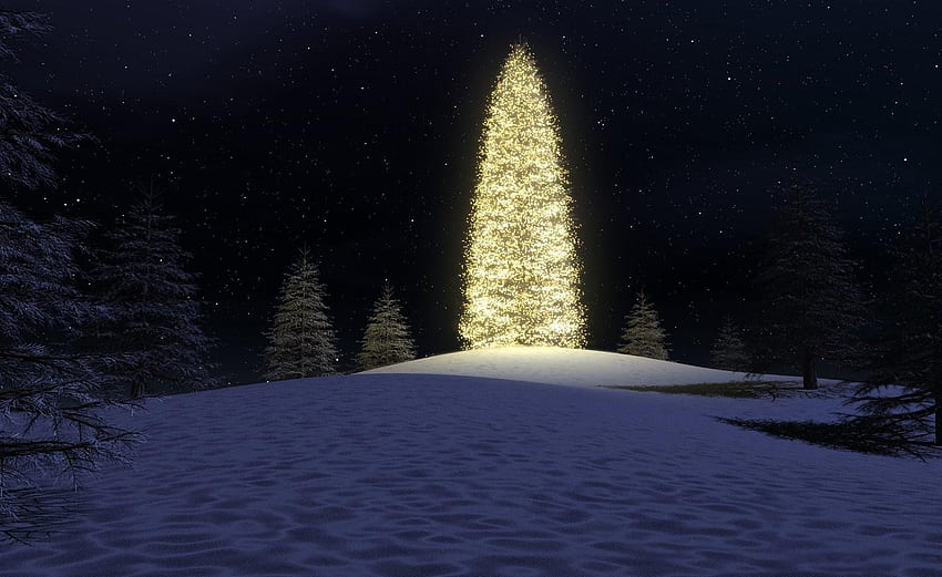 Feiertage, Himmel, Sterne, Schnee, Wald, Weihnachtsbaum, Girlande, Girlanden HD-Hintergrundbild