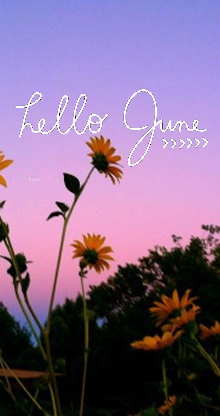 こんにちは6月。 こんにちは 6 月, カレンダー , こんにちは 1 月の引用 HD電話の壁紙