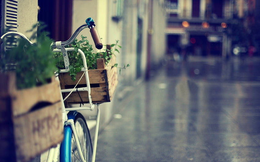 shopping basket bike large flower grass green town, Shopping Street HD wallpaper
