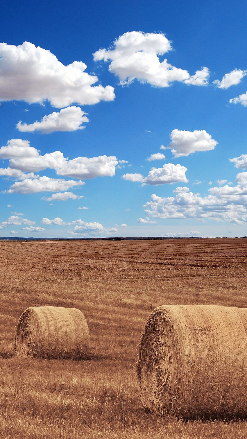 Hay Bales in Field - iPhone, Android & HD phone wallpaper