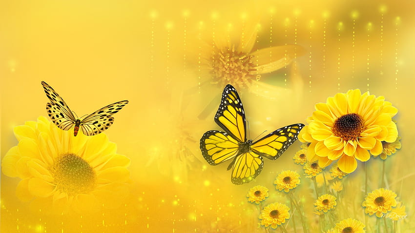 Spring Arrivals, glow, firefox persona, transparent, spring, daisies, butterflies, lights, yellow, flowers HD wallpaper