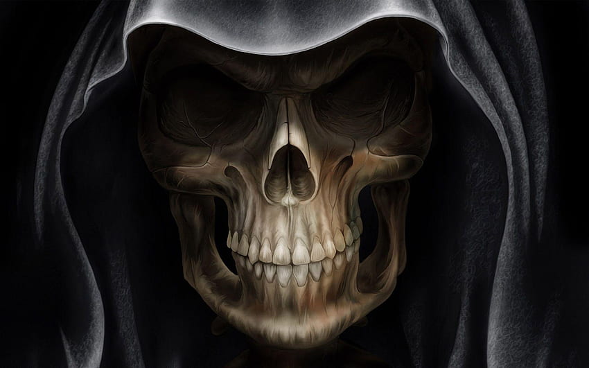 Skull, High Resolution Skull HD wallpaper