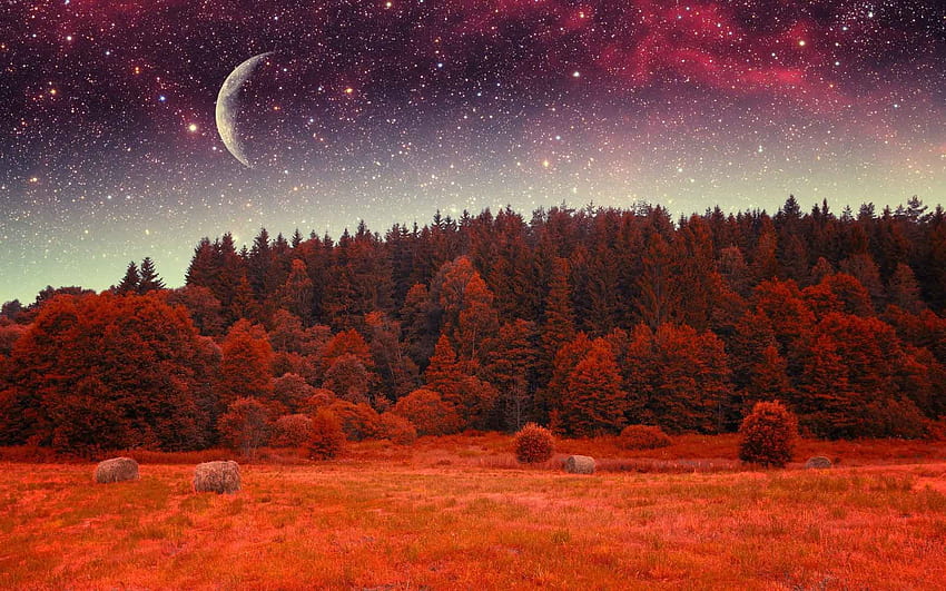 Landscapes Red Moon Forest Sky Earth Stars Nature - Star - , Red Moon Night Sky HD wallpaper