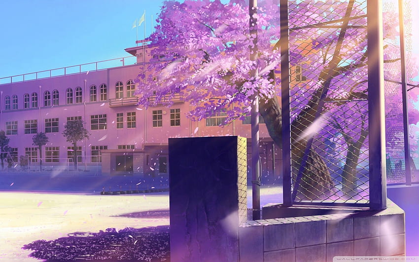 Anime anime. Phong cảnh. Scenery. High, Cherry Blossoms Anime Scenery HD wallpaper