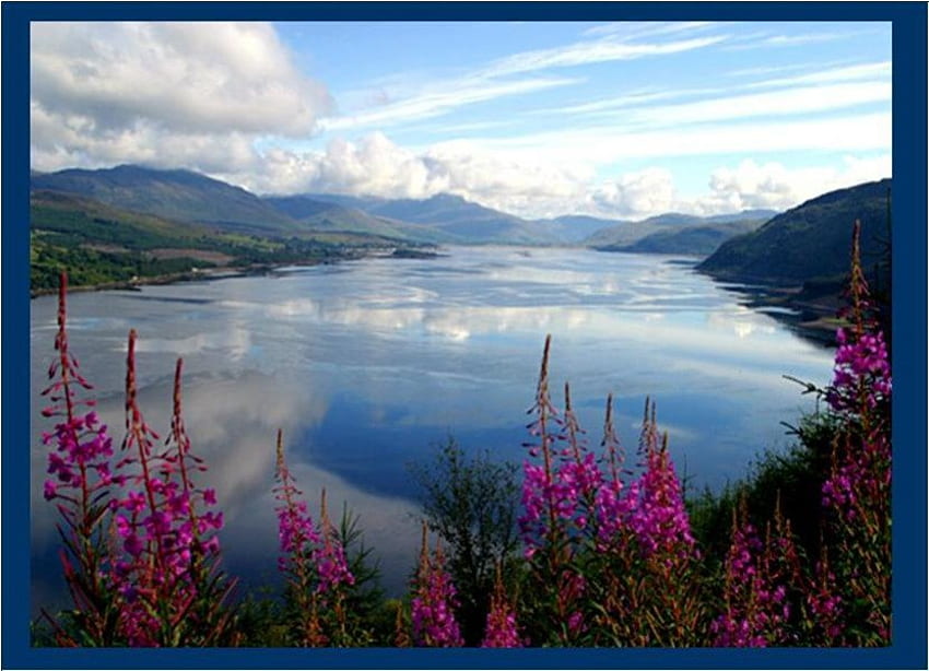 Ирландски изглед, река, Ирландия, облаци, цветя, планини HD тапет