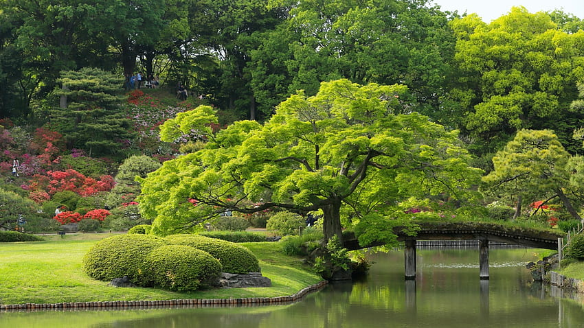 Японска градина, мост, дървета, Япония, езерце HD тапет