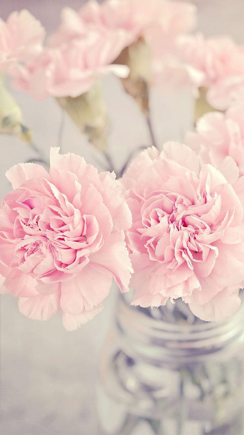 Pretty pink flowers, pastel, , iPhone, background. Phone, Beautiful Pastel Flowers HD phone wallpaper