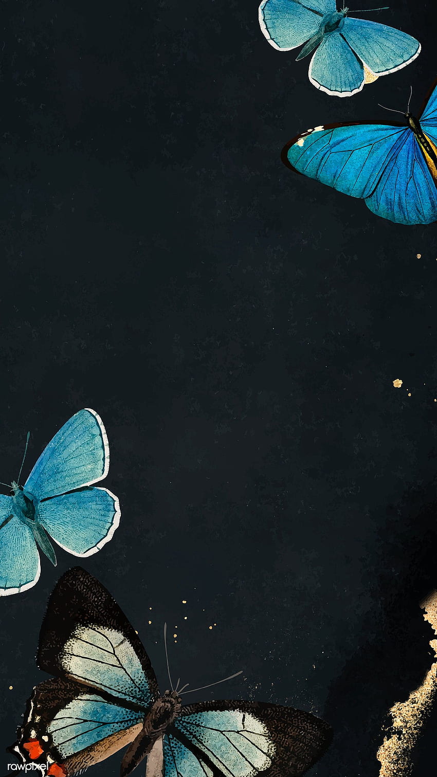 Niebieskie motyle wzorowane na czarnym wektorze telefonu komórkowego. premium przez rawpixe. Tło motyla, niebieski motyl, motyl, ciemnoniebieski motyl Tapeta na telefon HD