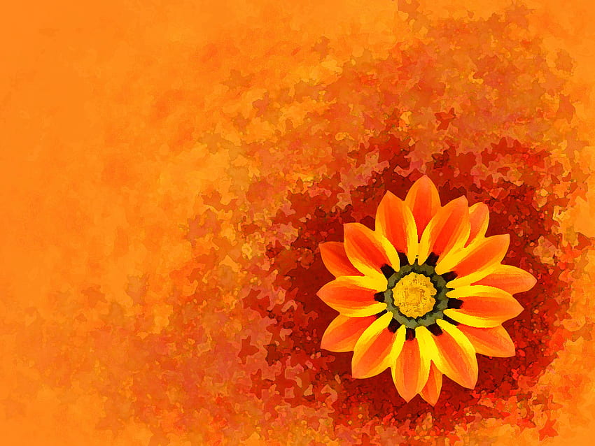 Autumn Flower, Autumn Wildflower HD wallpaper | Pxfuel