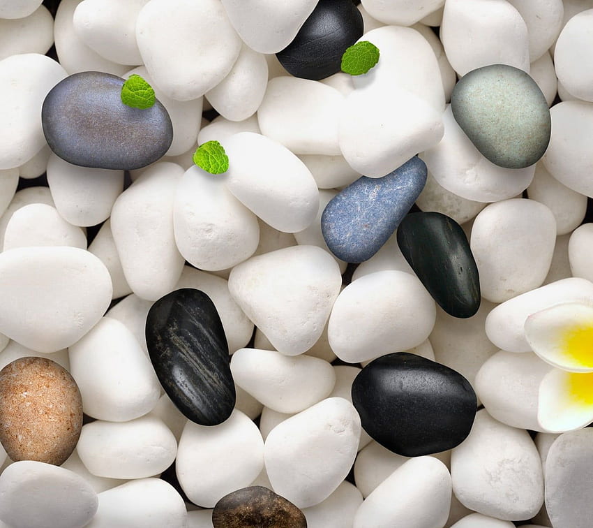 Assorted Color Pebbles, Stones HD wallpaper