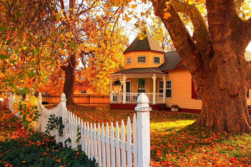 秋の家, 家, 葉, 秋, 公園、カラフル 高画質の壁紙