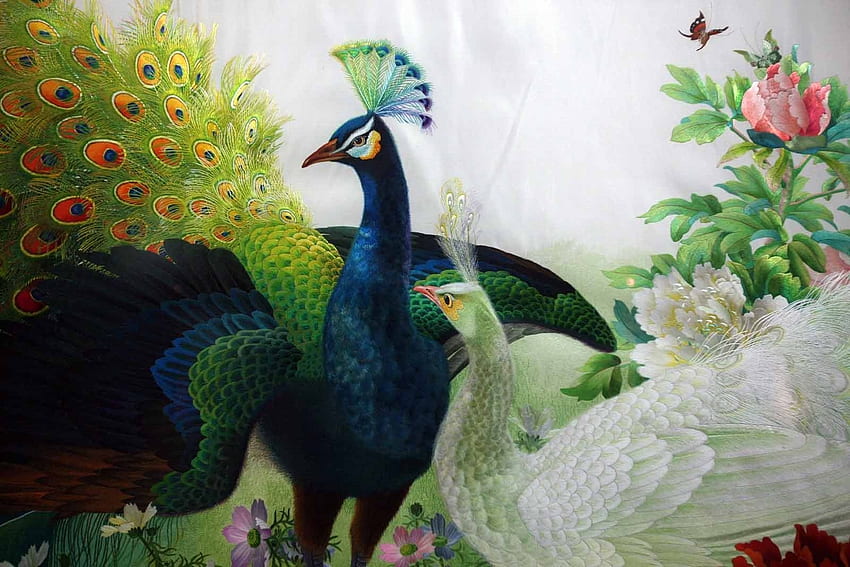 Peacocks, blue, white, paun, art, bird, pictura, peacock, pasari, painting HD wallpaper
