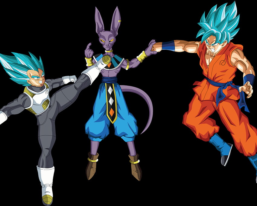 Vegeta and Goku SSGSS vs Lord Beerus by EymSmiley [] for your , Mobile & Tablet. Explore SSGSS Goku and Vegeta . SSGSS Goku and Vegeta, Lord Beerus DBZ HD wallpaper
