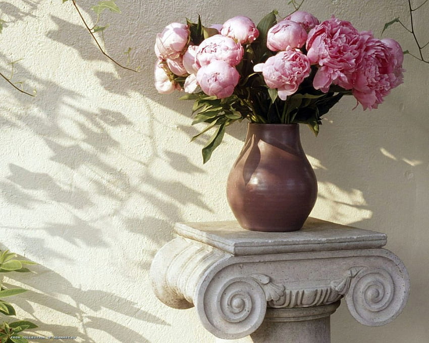 peones bouqet, summer, bouquet, peones, arrangement HD wallpaper