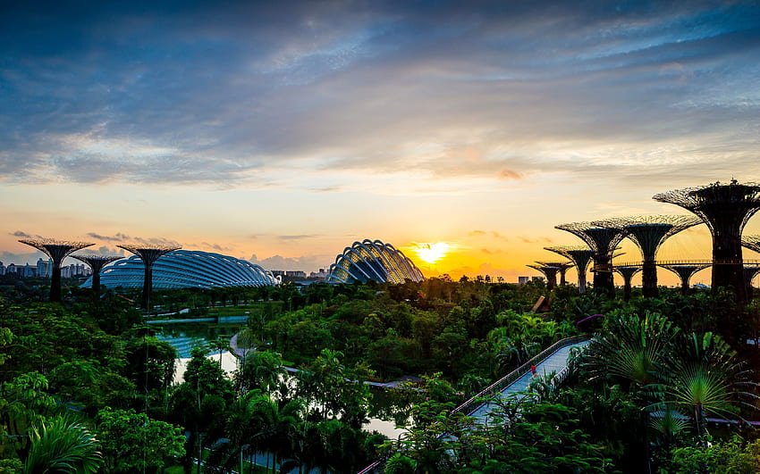 Jardines de Singapur por el cielo de la naturaleza de la bahía, paisaje