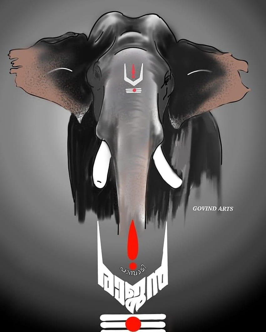 Kerala Elephants HD phone wallpaper