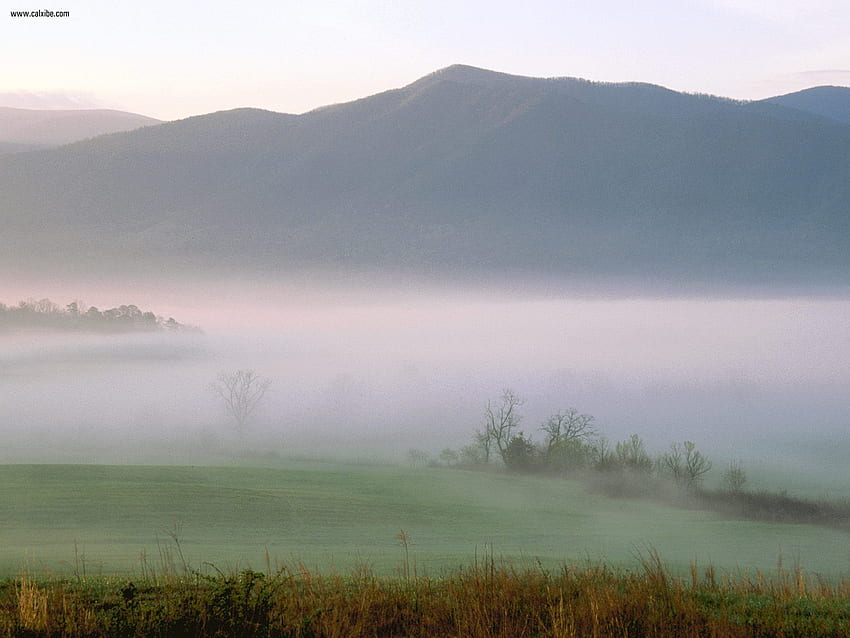 Nature: Foggy Sunrise Cades Cove Great Smoky Mountains Tennessee, nr. 19 HD wallpaper