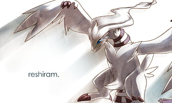 Reshiram Wallpapers  Top Free Reshiram Backgrounds  WallpaperAccess