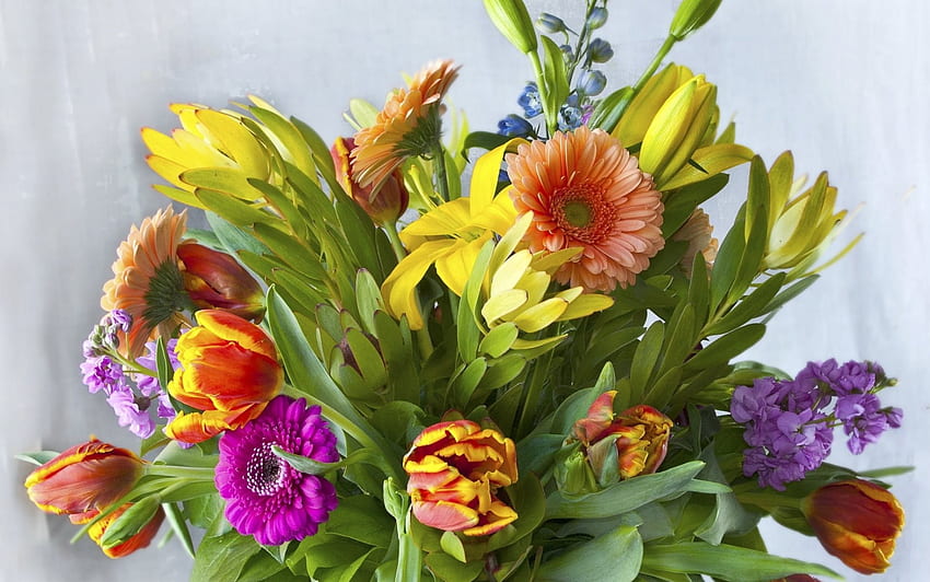 튤립과 거베라의 아름다운 꽃다발, 꽃다발, 꽃, 튤립, 거베라 HD 월페이퍼