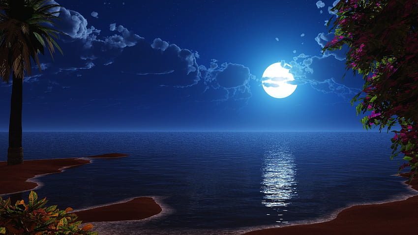 tropikalna plaża, Wybrzeże, pełnia księżyca, noc, niebo, sceneria, Sztuka cyfrowa, , , tło, 754313, Moon Night Ocean Tapeta HD