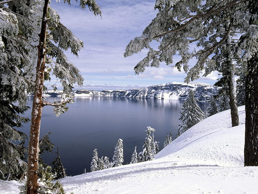 겨울, 자연, 나무, 돌, 산, 눈, 해안, 은행, 경사, 감기 HD 월페이퍼